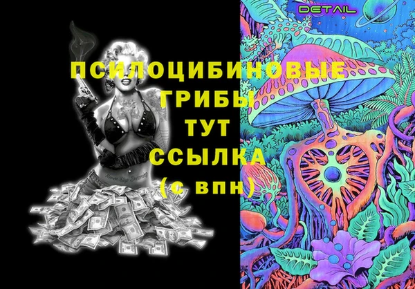 мдпв Алексин