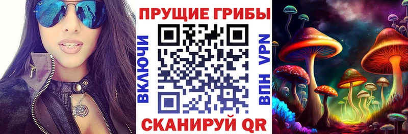 Псилоцибиновые грибы Cubensis Георгиевск