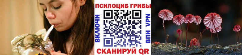 дарнет шоп Георгиевск Галлюциногенные грибы Magic Shrooms