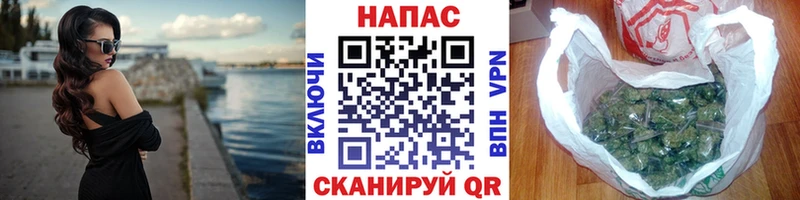Марихуана индика  Георгиевск 