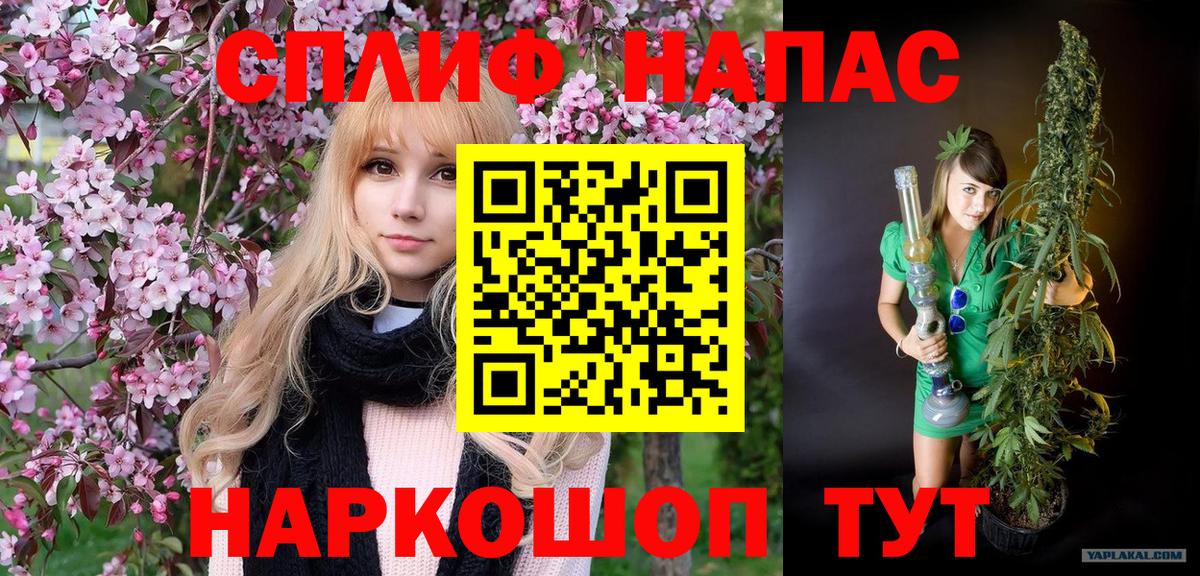 Шишки марихуана план  Вход с VPN  Канабис тримм  Бошки Шишки семена  Георгиевск 